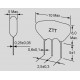 Abmessungen ZTT_MG CST 4 MHz ZTTWS4.0MG