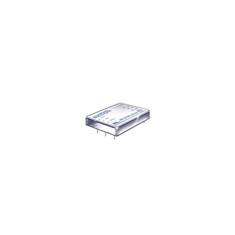 DC/DC-Wandler-Module der Serie RP30-EW