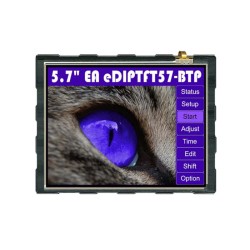EAEDIPTFT57-B, Display Visions TFT LCD displays, 640x480